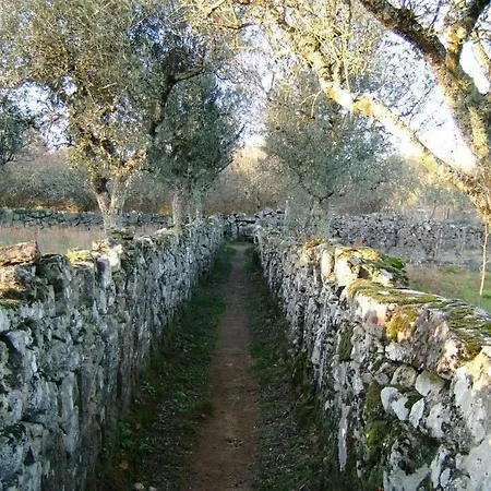 Casa Velha Casa vacanze *