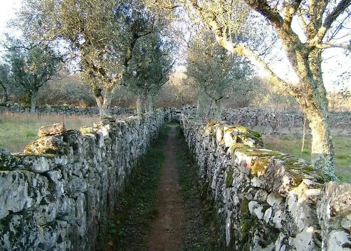 Casa Velha Semesterbostad *